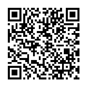 随后就看到这些鲜血恶魔已然化成大片的血水融合在一起二维码生成