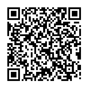 随后就见一对四十多岁的中年夫妇还有一个二十多岁的男青年从车里钻了出来二维码生成