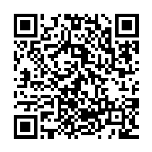 随后就见修为达到了天神中期的龙宇竟然被这道利爪震飞而出二维码生成