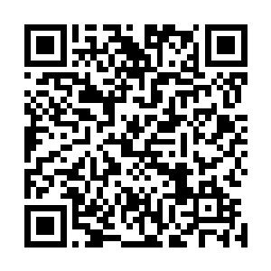 随后就见后面一名清秀少女双手捧着一个看上去像是装满水二维码生成