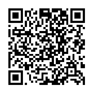 随后就见距离门口最近的两名绿衣少女立即迎了上去二维码生成