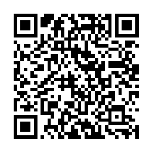 随后左手之中的龙之力悄悄的进入到了国王的体内二维码生成