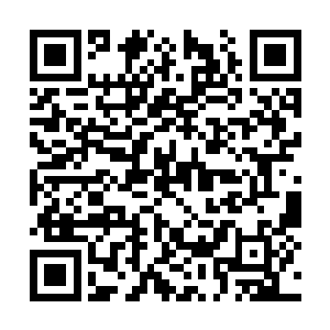 随后并肩站在空中怔怔的望着一神威无比的丹尘子二维码生成