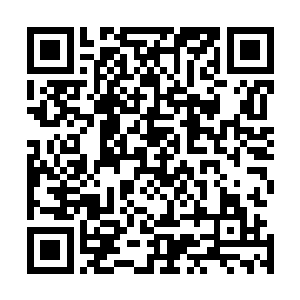 随后感觉自己被一个十五六岁的年轻人给吓到实在是很丢脸二维码生成