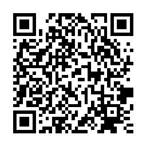 随后我感觉身体之中那一股残余的血欲瞬间被磅礴的鬼气冲淡二维码生成