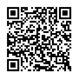 随后拿出了一袋子沉甸甸的东西递交给了白高正二维码生成
