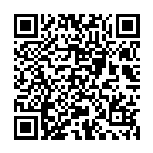 随后摆出一副非常认真的模样盯着一双高跟水晶鞋二维码生成