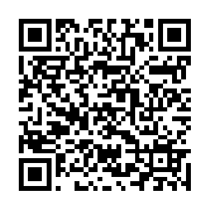 随后数十根根须拉长直直刺入地面纯白的玉石之中二维码生成