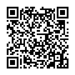 随后整个剧组工作人员清单从由上往下地开始滑动二维码生成