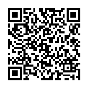 随后星族族长的双目再一次望向了月族和日族族长二维码生成