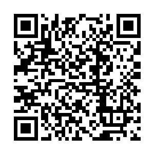 随后是几个有着十米多高的巨人身影冲破雾气出来二维码生成