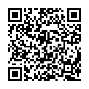 随后曲鹤则是把两个箱子都给放置到了桌子上面二维码生成