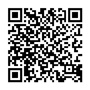 随后曾经因为打入2010年南非世界杯而备受关注的朝鲜也亮相了二维码生成