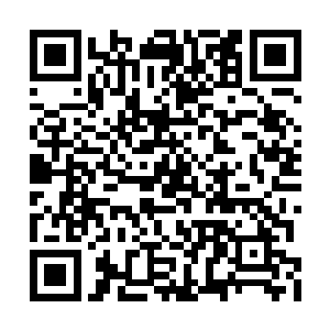 随后有些意味深长的看了一眼没有再出手的青稚二维码生成