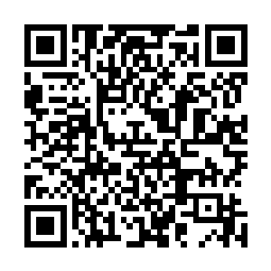 随后杨家一行人跟武家等人还有萧家老祖宗直接回到了帝都二维码生成