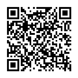 随后杨戬将手中的东西小心翼翼的收了起来之后直接开口道二维码生成