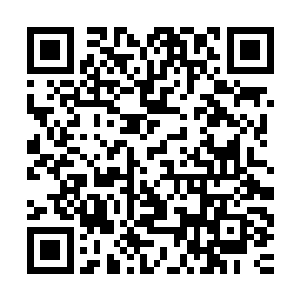 随后杨戬的目光也落到了旁边脚下的巨大的三足金乌的尸体上面二维码生成