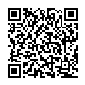 随后杨戬的目光则直接再一次落到了一边的袁鸿的身上二维码生成