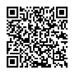 随后杨戬的目光顿时望向了一边的三个锦衣少年二维码生成