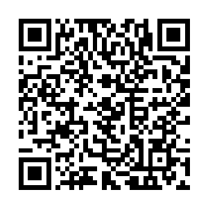 随后的节奏要突然加快或者减慢速度都没有任何问题二维码生成