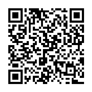 随后目光也落到了对面的人群之中的一道瘦削的灰衣老者的身上二维码生成