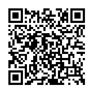 随后直接伸出一根食指朝着杨戬的身上碾压过来二维码生成