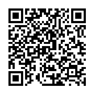 随后眼睁睁的看着这片拥有界墙的土地从天空坠落二维码生成