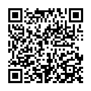 随后立即将自己的因果互噬之力直接注入了钟鼎的内里二维码生成
