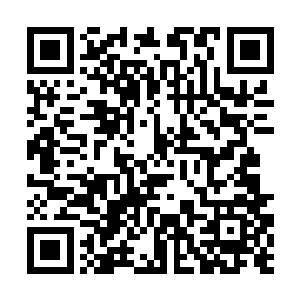 随后若无其事装着什么也不知道随着安少步子下了楼二维码生成