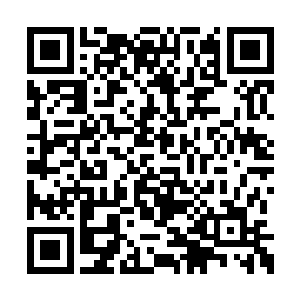 随后药紫擎的目光也落到了旁边的徐子枫的身上二维码生成