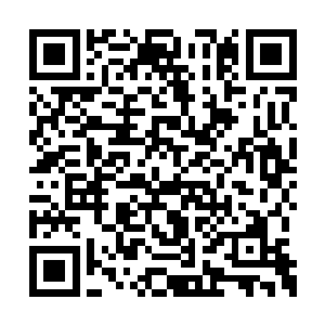 随后身上散发的五色光辉也变得愈发浓郁了起来二维码生成