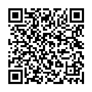 随后那些人感觉到自己面前出现了上百条腿一起攻击二维码生成