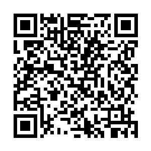 随后那仅剩的几只复眼中也顿时浮现出一丝惊喜和希冀之色二维码生成