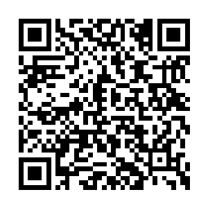 随后那几个高手也是快速的来到了云灵王的面前二维码生成