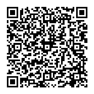 随后那因为剧烈轰击而导致的可怕反冲力和能量冲击也同时反过来轰击在了楚旬和那人形雷劫的身上二维码生成