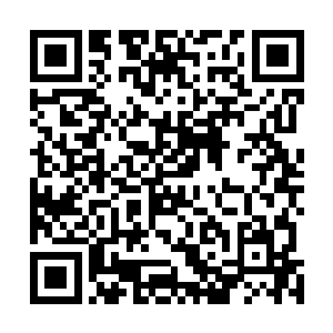 随后那挡住白虎的巨大手掌也重新化为了虚无消散在空中二维码生成