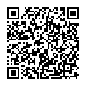 随后那长嘴更是在一阵沉闷的撕裂声中狠狠刺入到了那冰霜巨人的左眼之中二维码生成