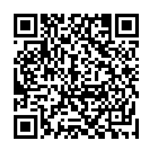 随后黑sè的雷罚也是呼啸着朝着下方的血海里面倾泻而去二维码生成