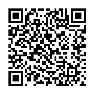 随后龙傲天也将注意力完全集中到了这几样东西上面二维码生成