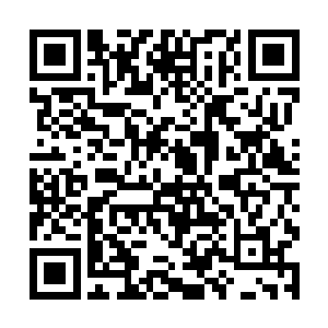 随后龙傲天拿出了俩颗丹药给了木云婷和赤天两个人二维码生成