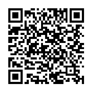 随后龙傲天的手中出现了一个个的大大小小的元婴二维码生成