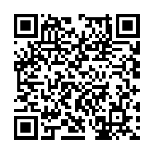 随后龙傲天转过身扫视了一眼身边的剑无极开口道二维码生成