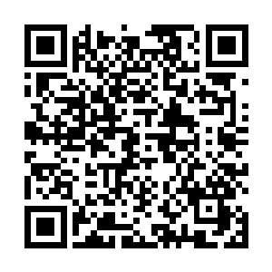 随处都能听见关于帝联商会百年一次的拍卖盛会的谈论二维码生成