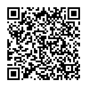 随意聚神听了一会儿附近那些外门弟子的议论流墨墨便失去了兴趣二维码生成