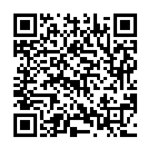 随手从床底下把那两个装着六十万现金的袋子提了出来二维码生成