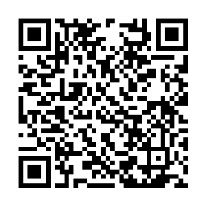 随手抄起放在不远处的鸡毛掸子就往叶容身上抽去二维码生成