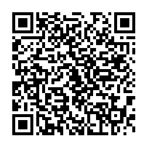 随手把这四货弄出来之后贝海带着小跑儿进了驾驶舱内拿起了电话二维码生成