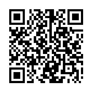 随手指了宣德红底缠枝牡丹花的梅瓶二维码生成