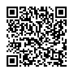 随时可以将信风中流转保鲜的季候力量回收进自己的小世界二维码生成