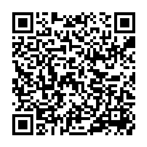 随时给自己留一条退路……甚至于这个马甲往后怎么才能发挥最大的作用二维码生成